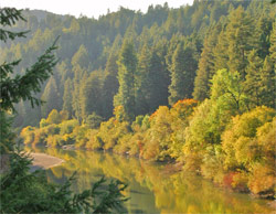 Russian River in October