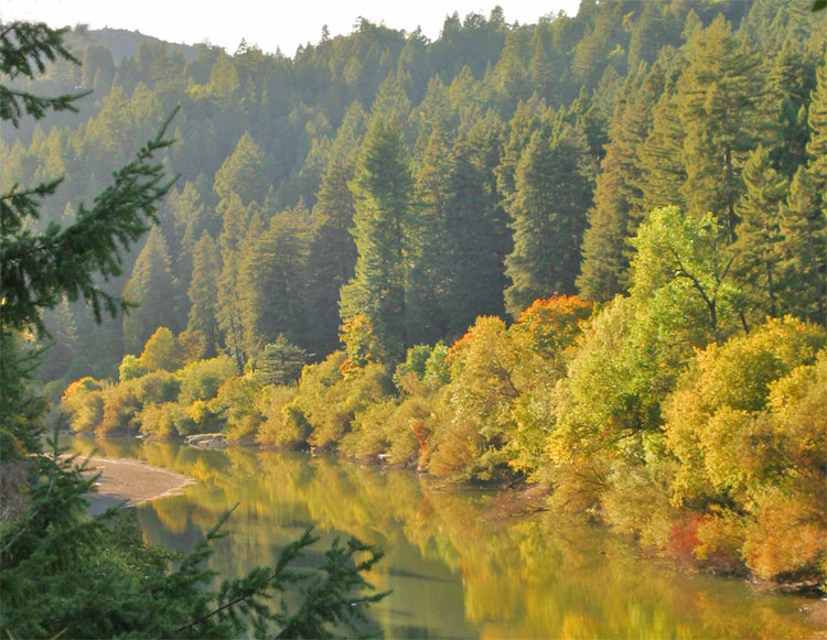 Russian River in October
